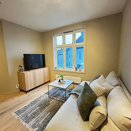 Fantastic Village In Apartment Bergen